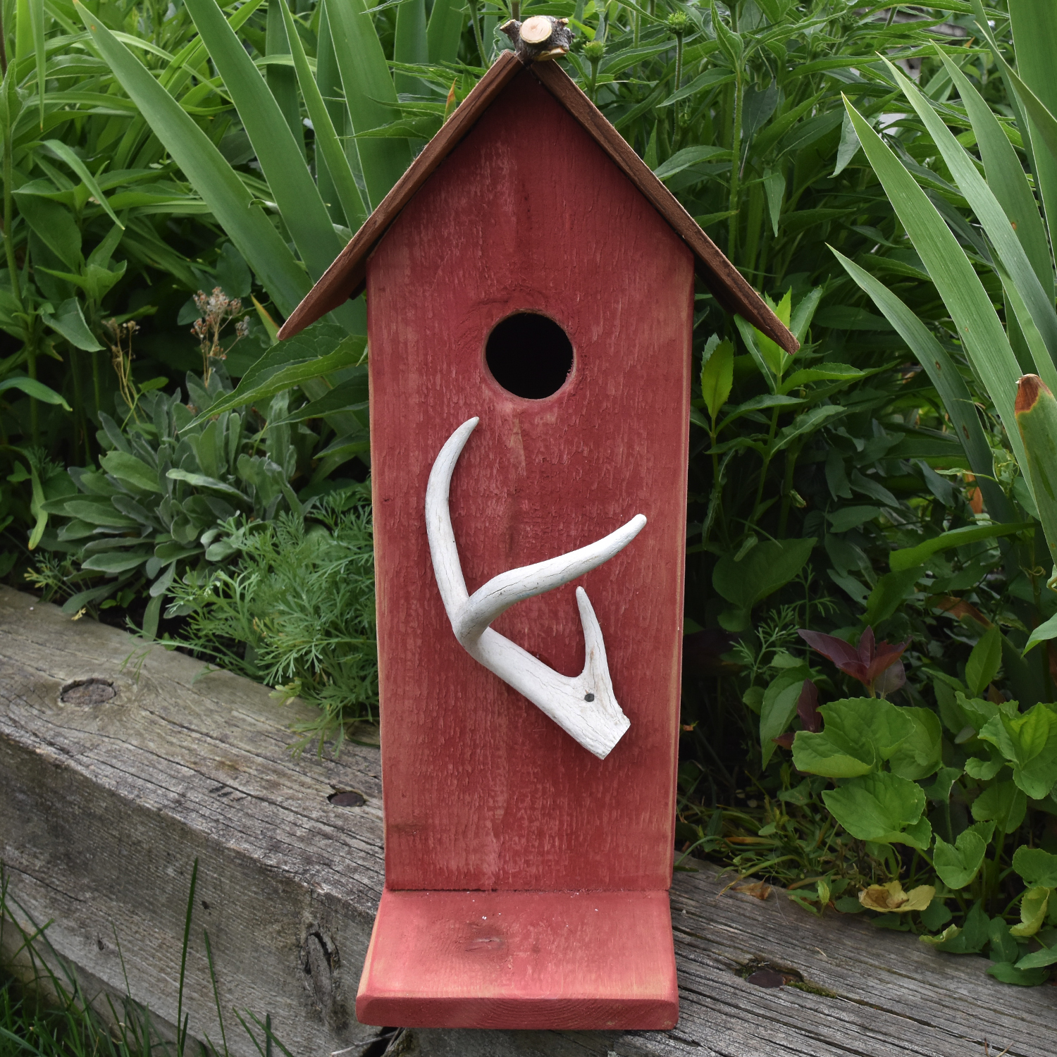 Photo of Birdhouse with Deer Horn