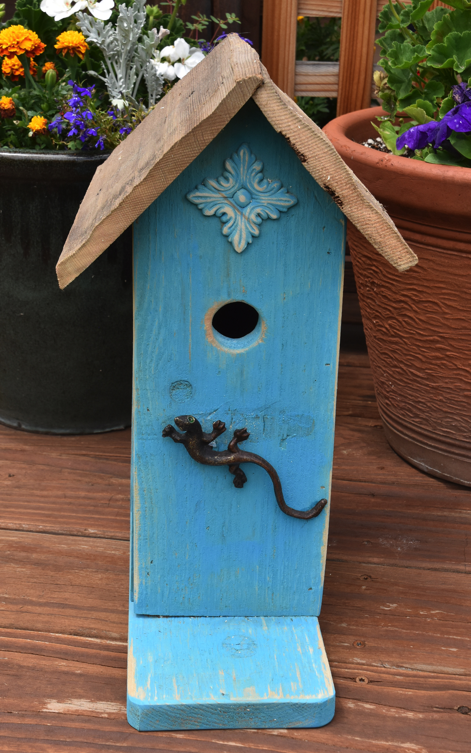 Photo of Birdhouse with Lizard
