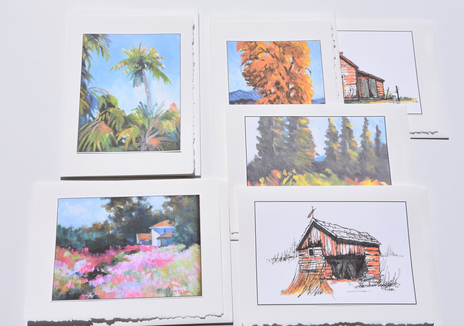 Photo of Set of 6 Landscape cards with envelopes