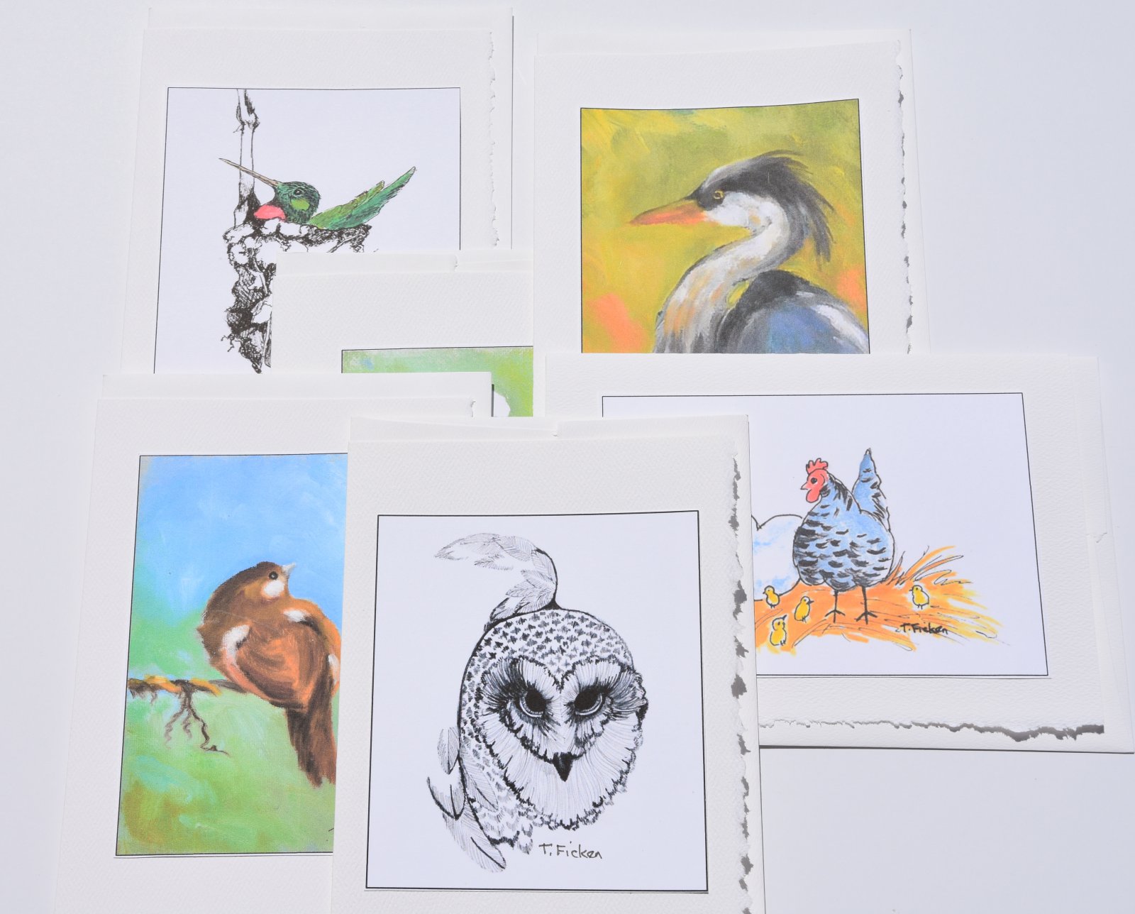 Photo of Set of 6 Bird cards with envelopes