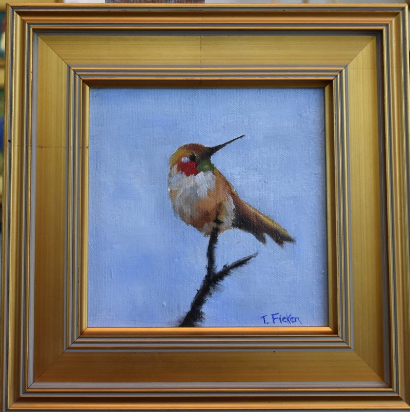 Photo of Hummer on Twig