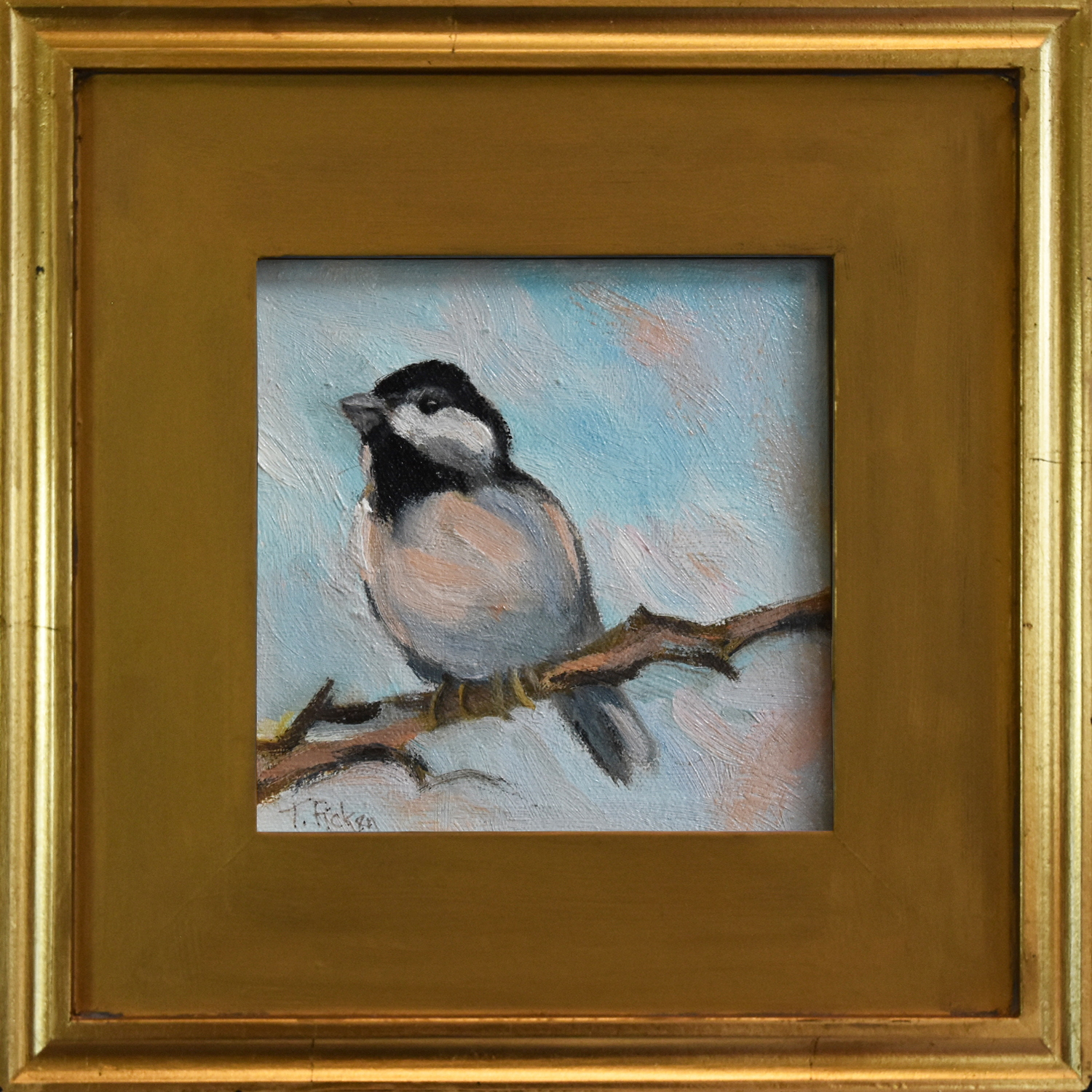Photo of Chicadee