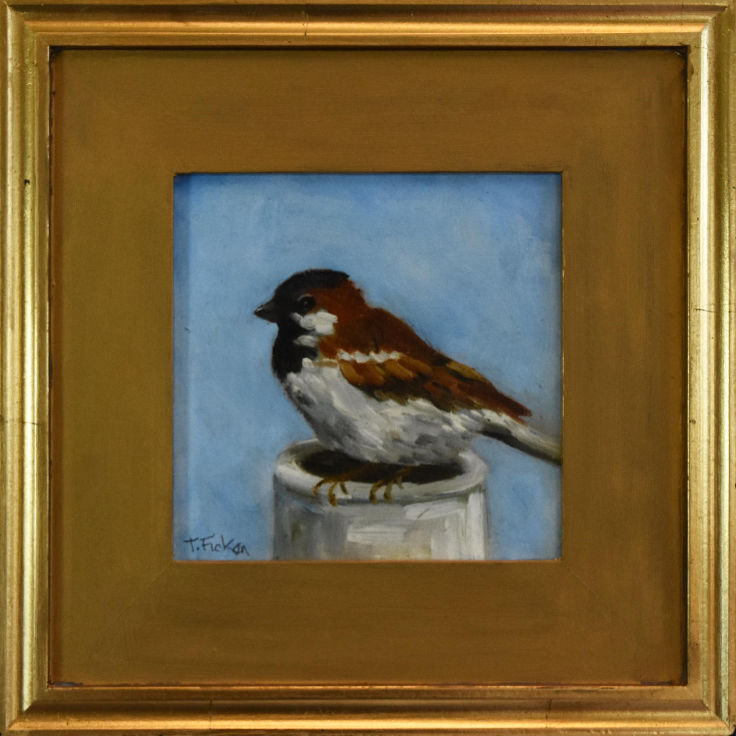 Photo of Sparrow on Cup