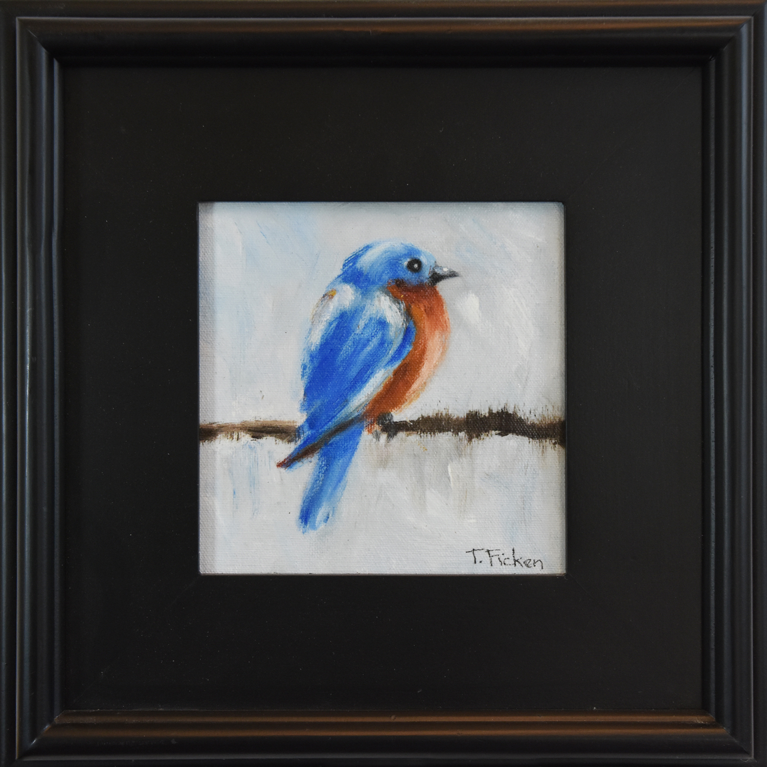 Photo of Bluebird on String